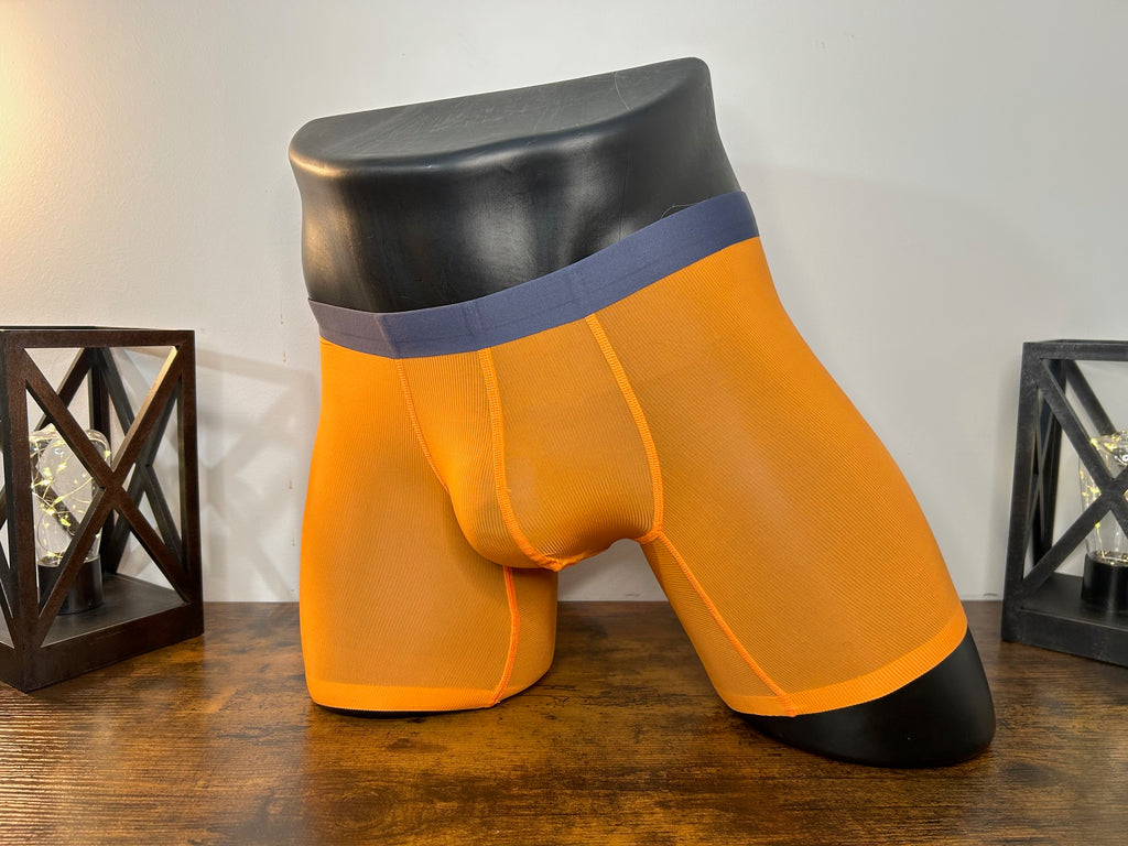 Sheer Boxer Briefs